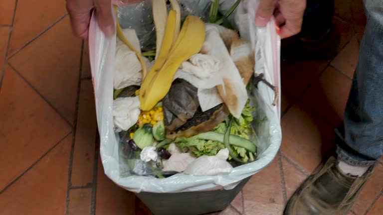 Best Yard Waste Removal  in Tappahannock, VA